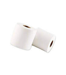 2 Ply Toilet Paper 350 Sheets