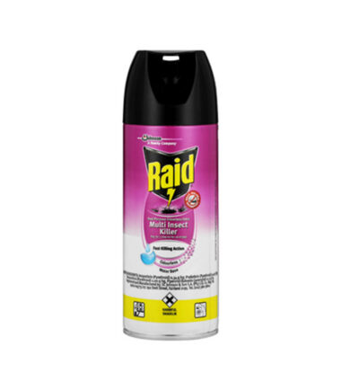 Raid Dual Odourless 300ml