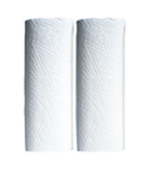 Kitchen Towel 2Ply